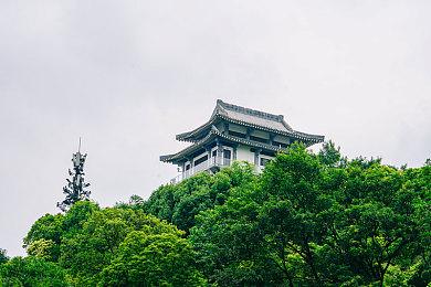 香港通路预购开跑！「Pokémon GO Plus +」将于7月14日与全球同步发行